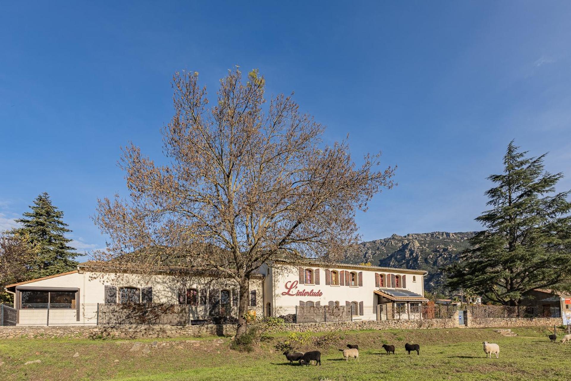 Bed and Breakfast L'Interlude Mons  Экстерьер фото
